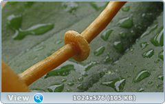 0_12dd07_3588b5df_orig.png