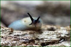 0_101908_44e03562_orig.jpg