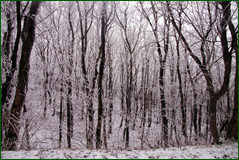 0_10628e_211d05c6_orig.png