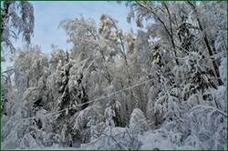 0_156113_804c65d1_orig.jpg