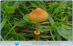 0_12dcf9_8677a0e2_orig.png
