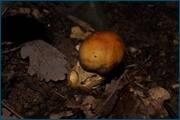 0_d2406_332d6437_orig.jpg