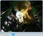 0_130d90_a6da2488_orig.png