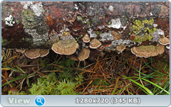 0_f563c_4bafe7fe_orig.png
