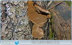 0_fc646_f65fca1e_orig.png