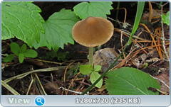 0_e6bc6_d759e175_orig.png
