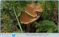 0_ea390_d1bfa592_orig.png