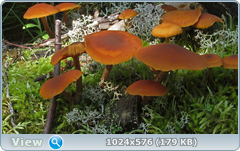0_12befb_d4895915_orig.png