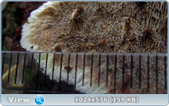 0_12da2e_cab54e34_orig.png