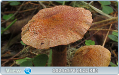 0_12da34_987e11b5_orig.png