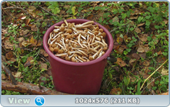 0_12dc2d_3985d3c9_orig.png