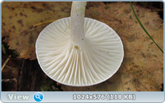 0_12dcb9_b3db12cf_orig.png