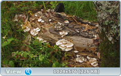 0_12dcdf_91ca7e9e_orig.png