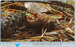 0_12dd77_56634a37_orig.png