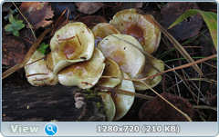 0_f3812_26882d7e_orig.png