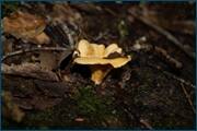 0_d2372_bb59defd_orig.jpg