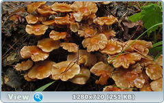 0_ead2c_4eb94b12_orig.png