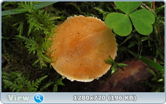 0_eab65_211348b4_orig.png