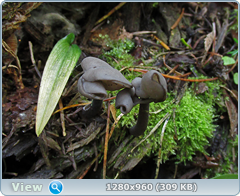 0_eb04e_48451865_orig.png