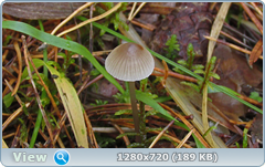 0_f302d_907fdda0_orig.png