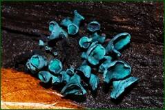 0_fff63_42b7f9de_orig.jpg