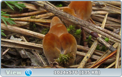 0_12ba69_6d07d47f_orig.png