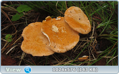0_12c6cc_98bef605_orig.png