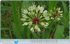 0_e7853_eb8e962b_orig.png