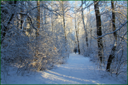 0_1130d0_8f60d2c5_orig.png