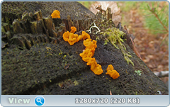 0_f5613_b839b3f0_orig.png