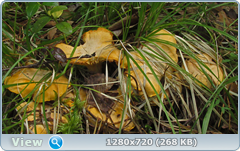 0_e9acd_de70d5e4_orig.png