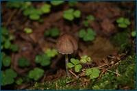 0_d4d30_2462b3a4_orig.jpg