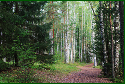 0_10b4e1_84b283f7_orig.png