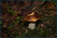 0_d4d4c_662a62b_orig.jpg