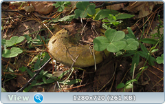0_ef388_c8cdd641_orig.png