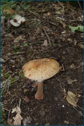 0_d0996_612cbd69_orig.jpg