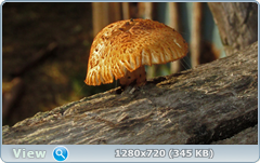 0_e6a50_1ae6cad8_orig.png