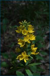 0_d0910_178c965d_orig.jpg