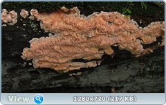 0_fc45c_26113bc6_orig.png