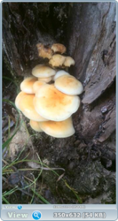 0_f10c3_468dabc5_orig.png