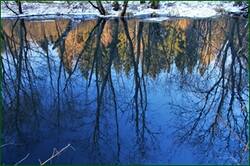 0_15568e_4521f080_orig.jpg