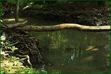 0_fe1b2_920e1673_orig.jpg