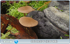 0_12dccf_f6456d97_orig.png