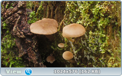 0_12dcd1_850c481b_orig.png