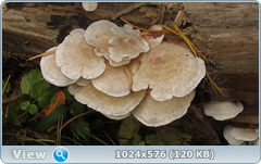 0_12dce1_13721f2f_orig.png