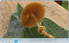 0_12dd09_d18b138_orig.png