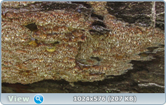 0_12dd47_d24506c6_orig.png