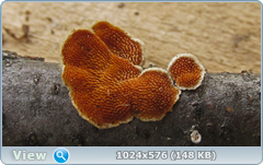 0_12dd67_66e32f7c_orig.png