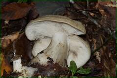 0_100600_8d4eddf4_orig.jpg