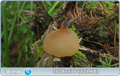 0_12aff6_ac006676_orig.png
